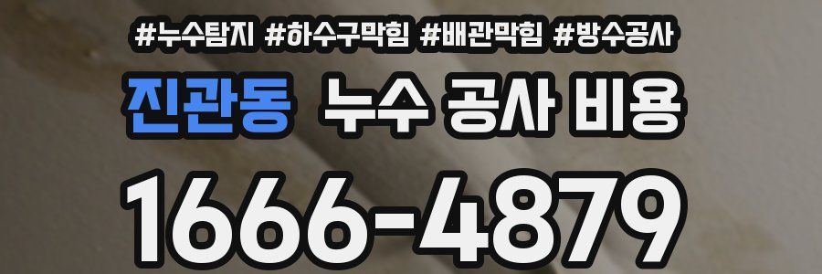 진관동 누수 공사 비용