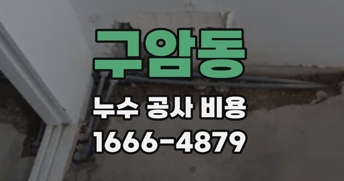 구암동 누수 공사 비용