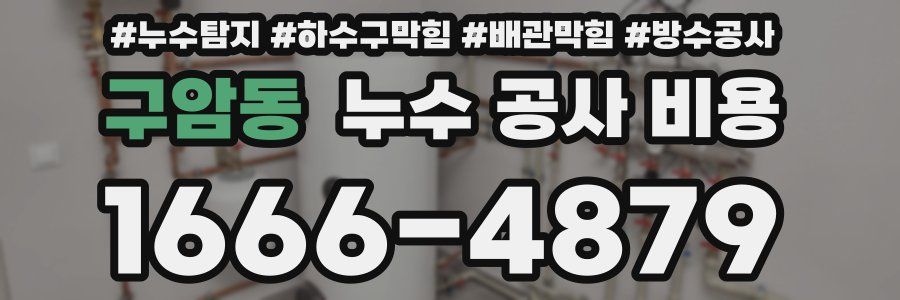 구암동 누수 공사 비용