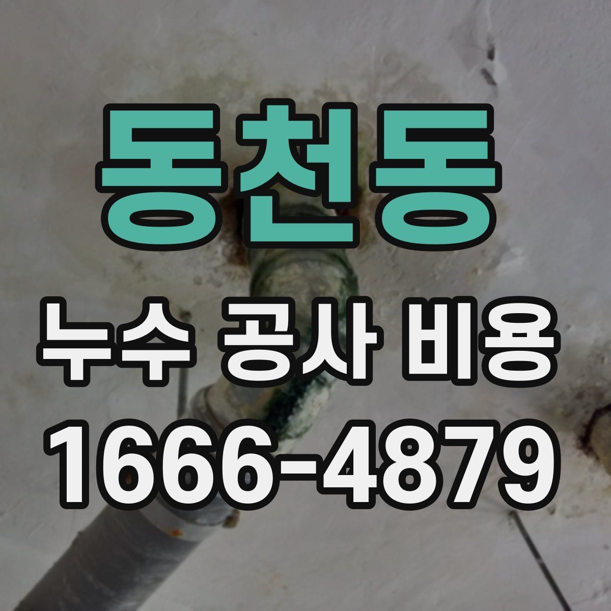 동천동 누수 공사 비용