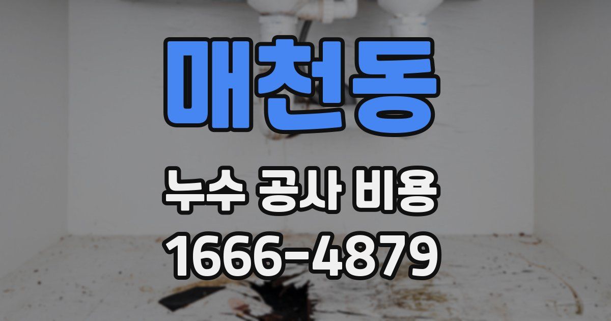 매천동 누수 공사 비용