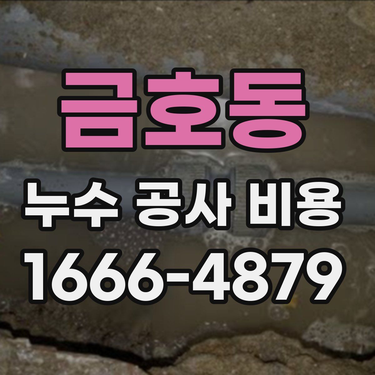 금호동 누수 공사 비용