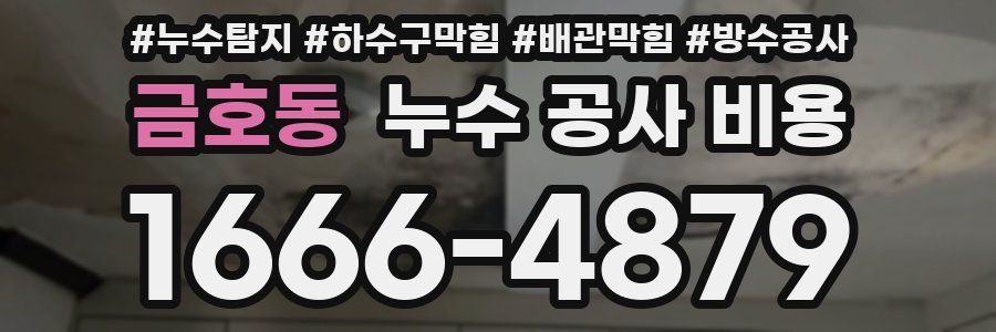 금호동 누수 공사 비용