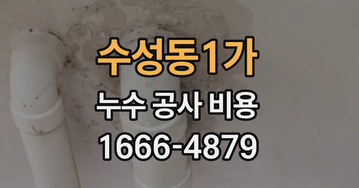 수성동1가 누수 공사 비용