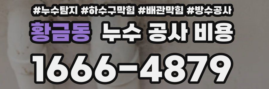 황금동 누수 공사 비용
