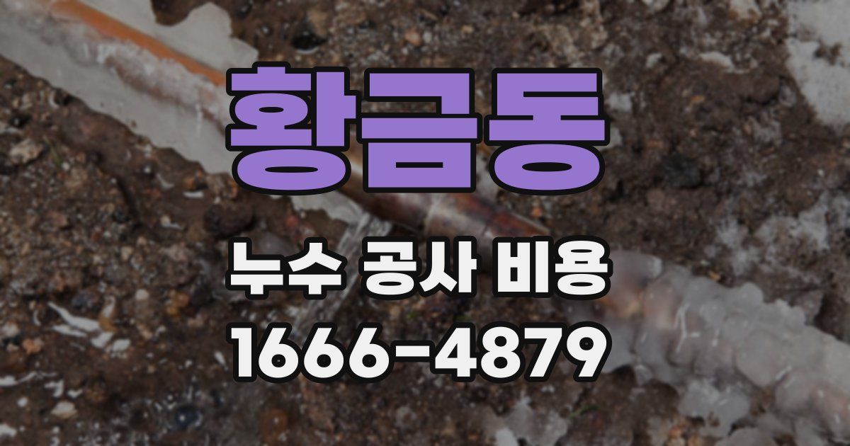 황금동 누수 공사 비용
