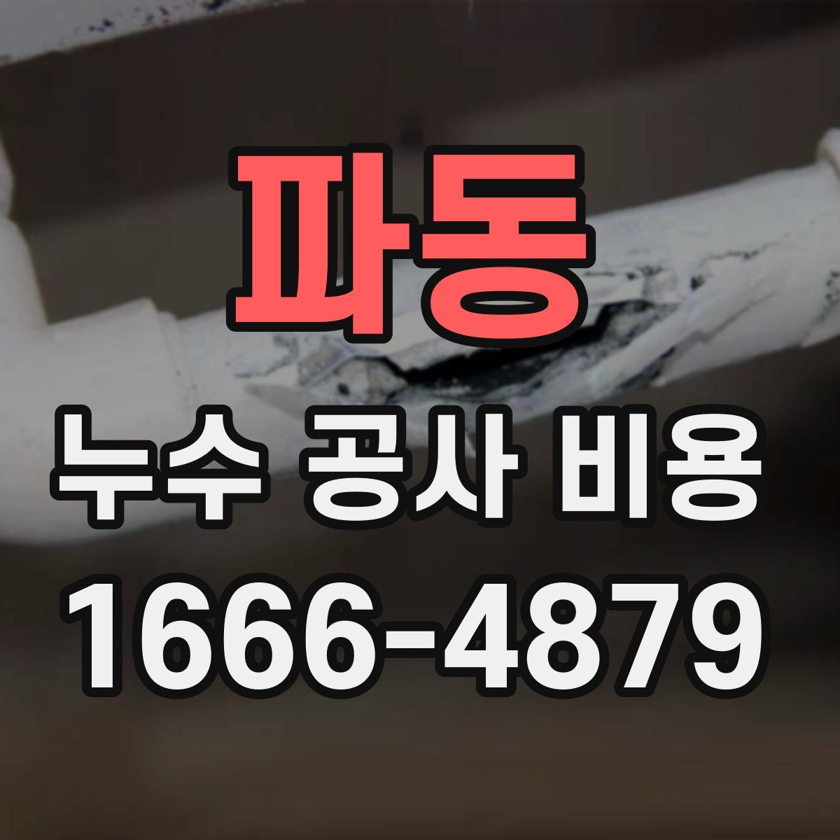 파동 누수 공사 비용