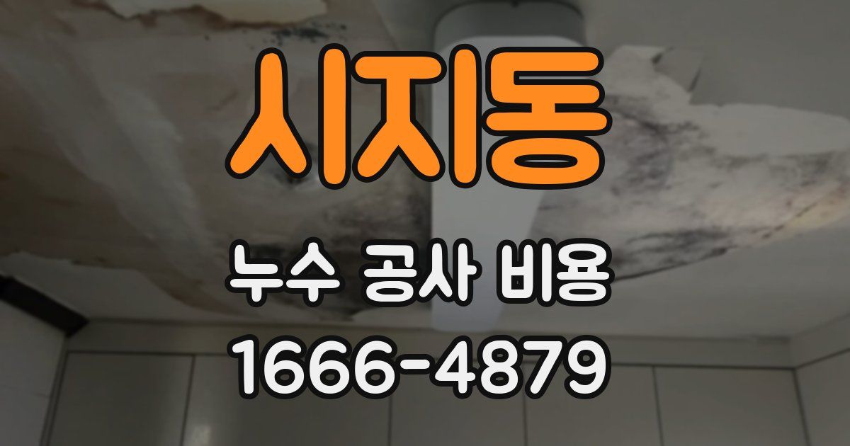 시지동 누수 공사 비용