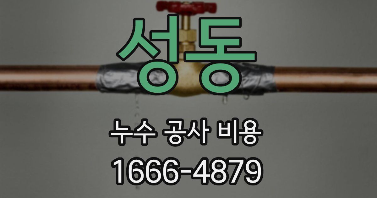 성동 누수 공사 비용