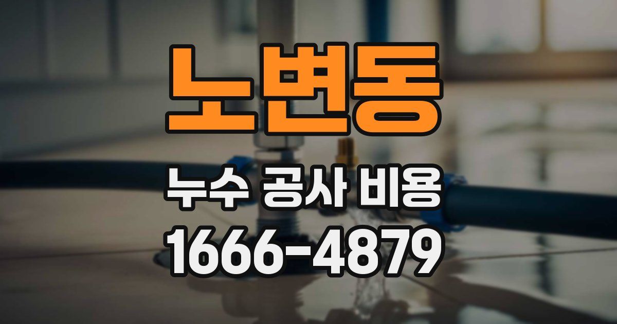 노변동 누수 공사 비용