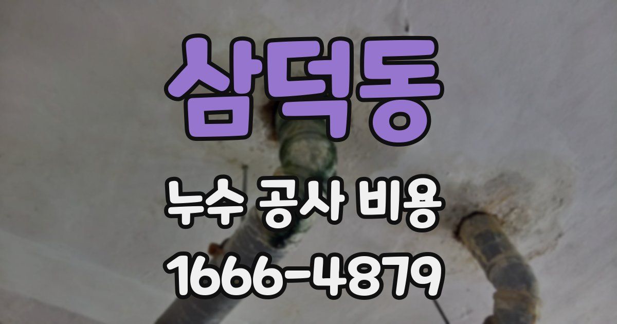 삼덕동 누수 공사 비용