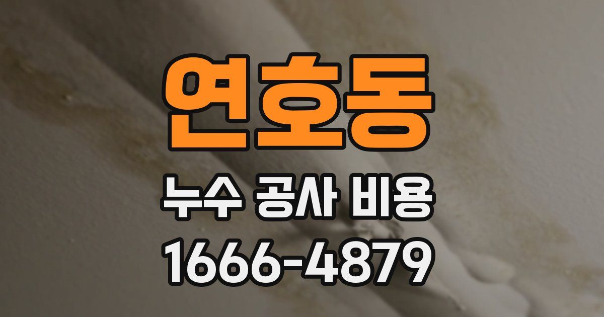 연호동 누수 공사 비용