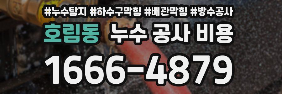 호림동 누수 공사 비용