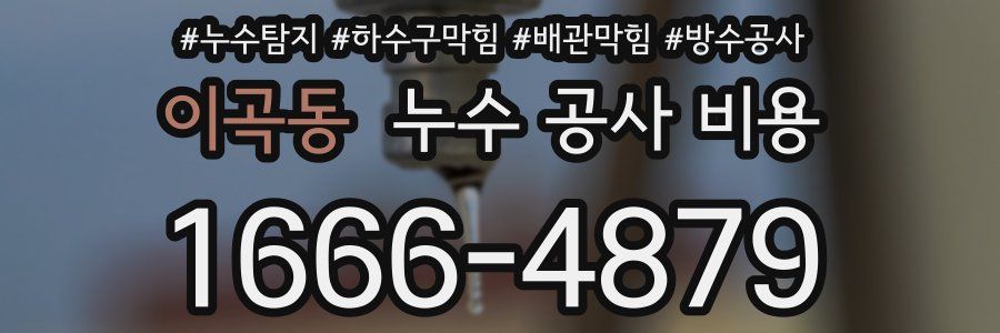 이곡동 누수 공사 비용