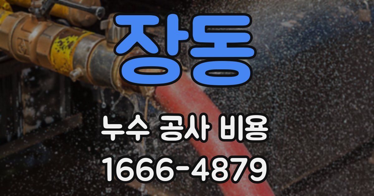 장동 누수 공사 비용