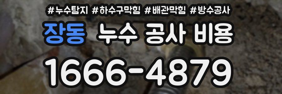 장동 누수 공사 비용