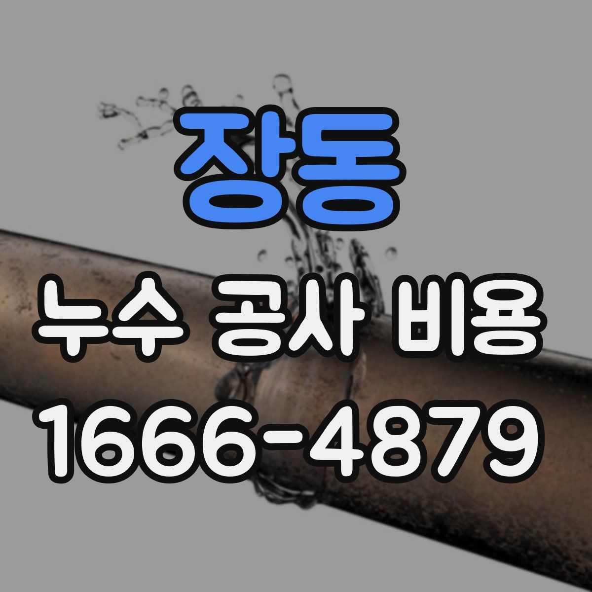 장동 누수 공사 비용