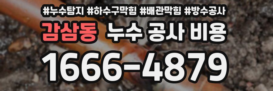 감삼동 누수 공사 비용