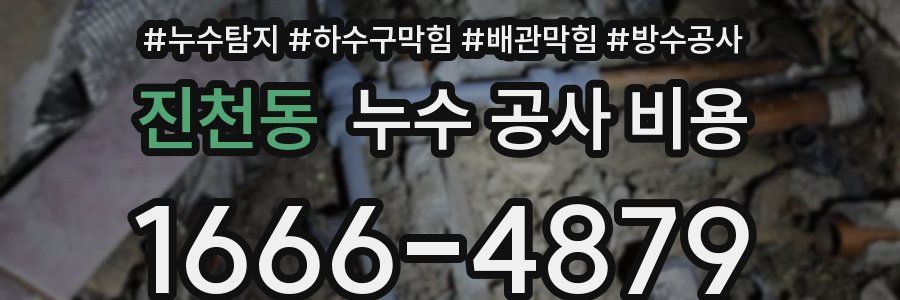 진천동 누수 공사 비용