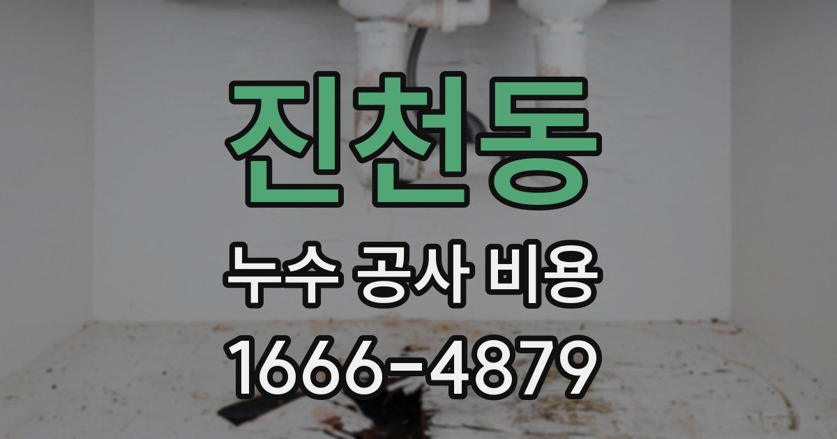 진천동 누수 공사 비용