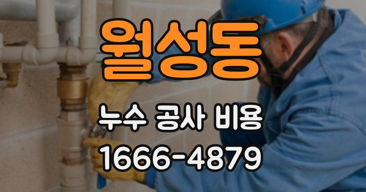 월성동 누수 공사 비용