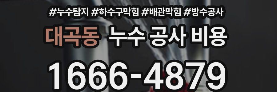 대곡동 누수 공사 비용
