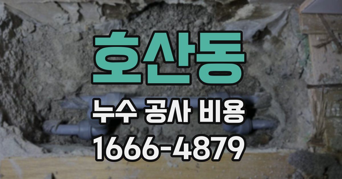 호산동 누수 공사 비용