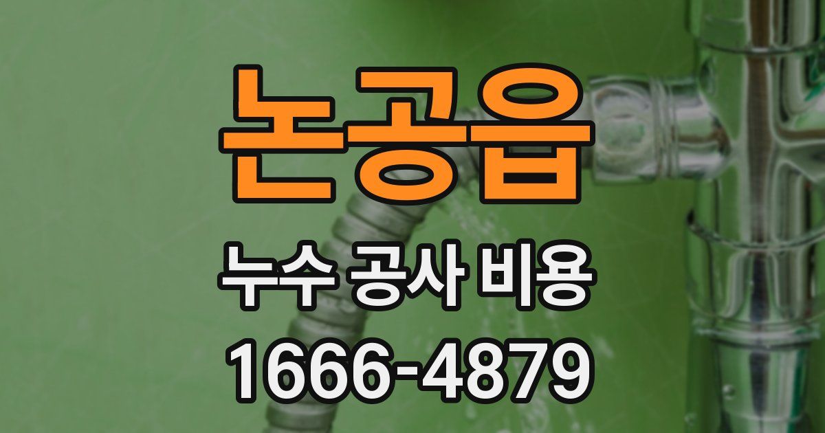 논공읍 누수 공사 비용