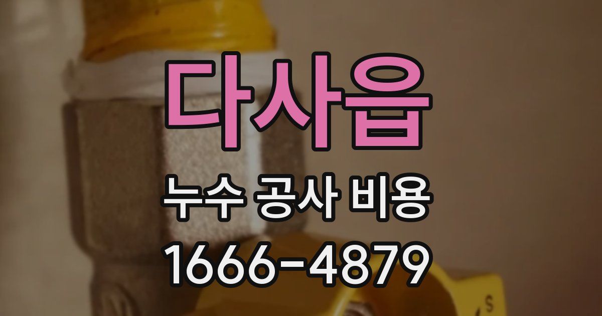 다사읍 누수 공사 비용