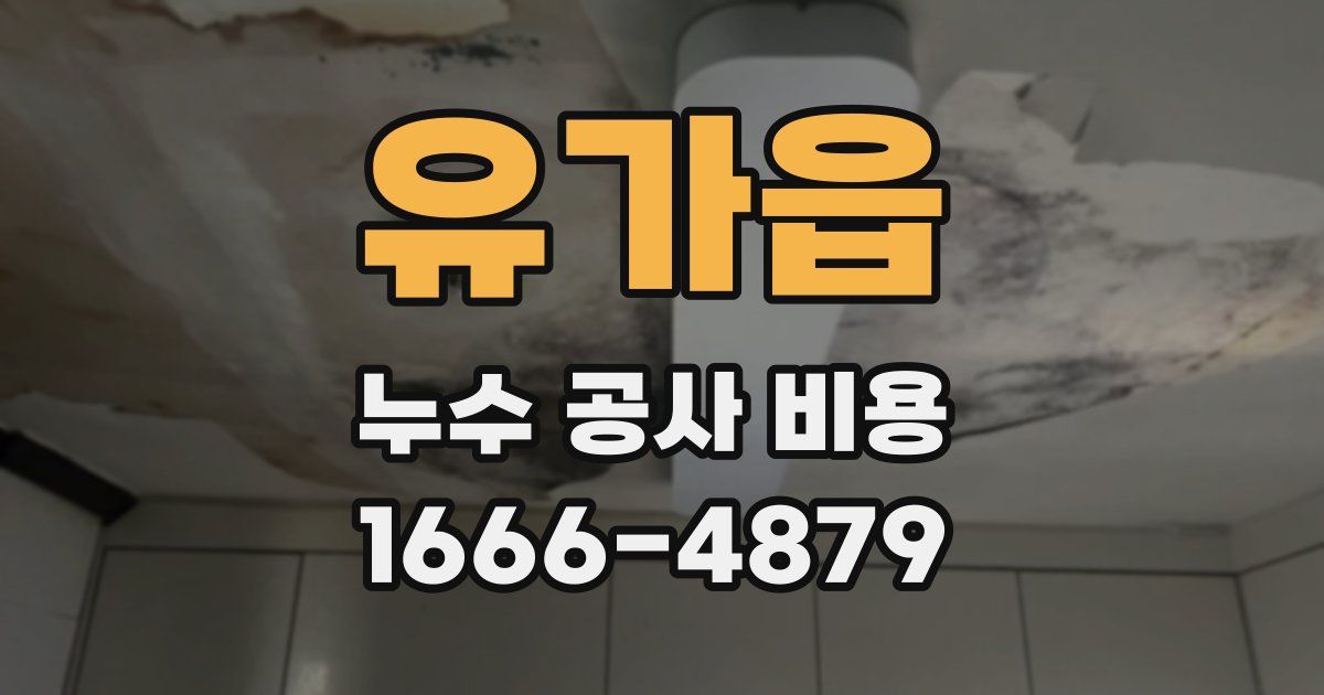 유가읍 누수 공사 비용