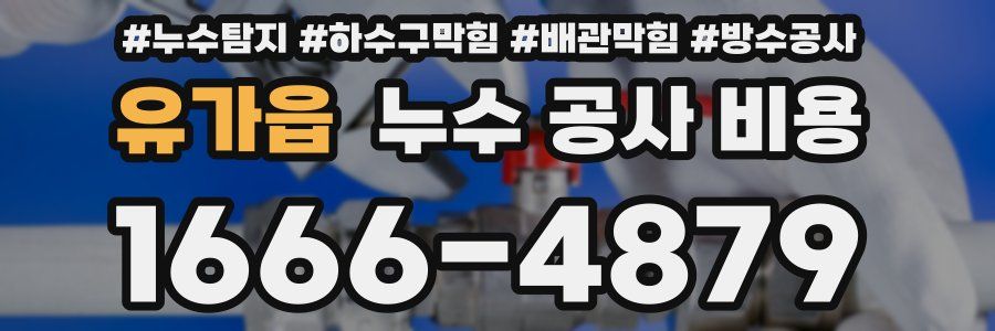 유가읍 누수 공사 비용