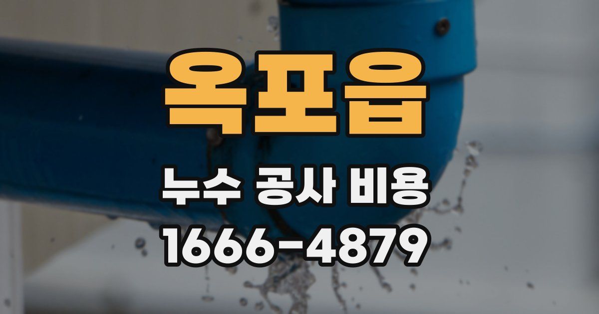 옥포읍 누수 공사 비용