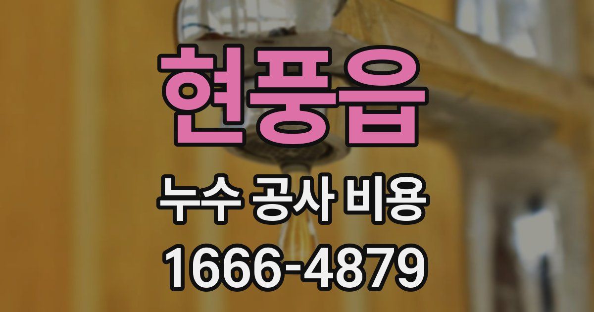현풍읍 누수 공사 비용