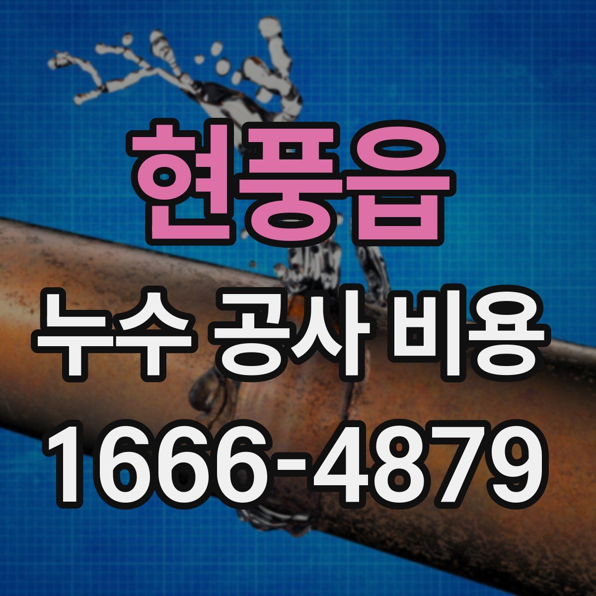 현풍읍 누수 공사 비용