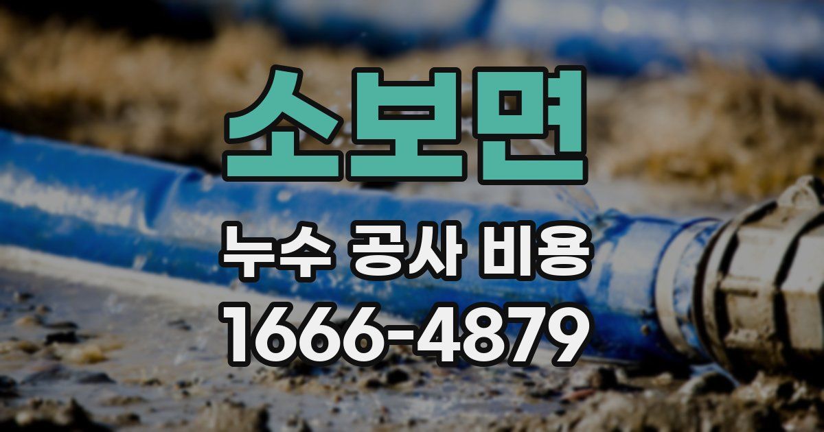 소보면 누수 공사 비용