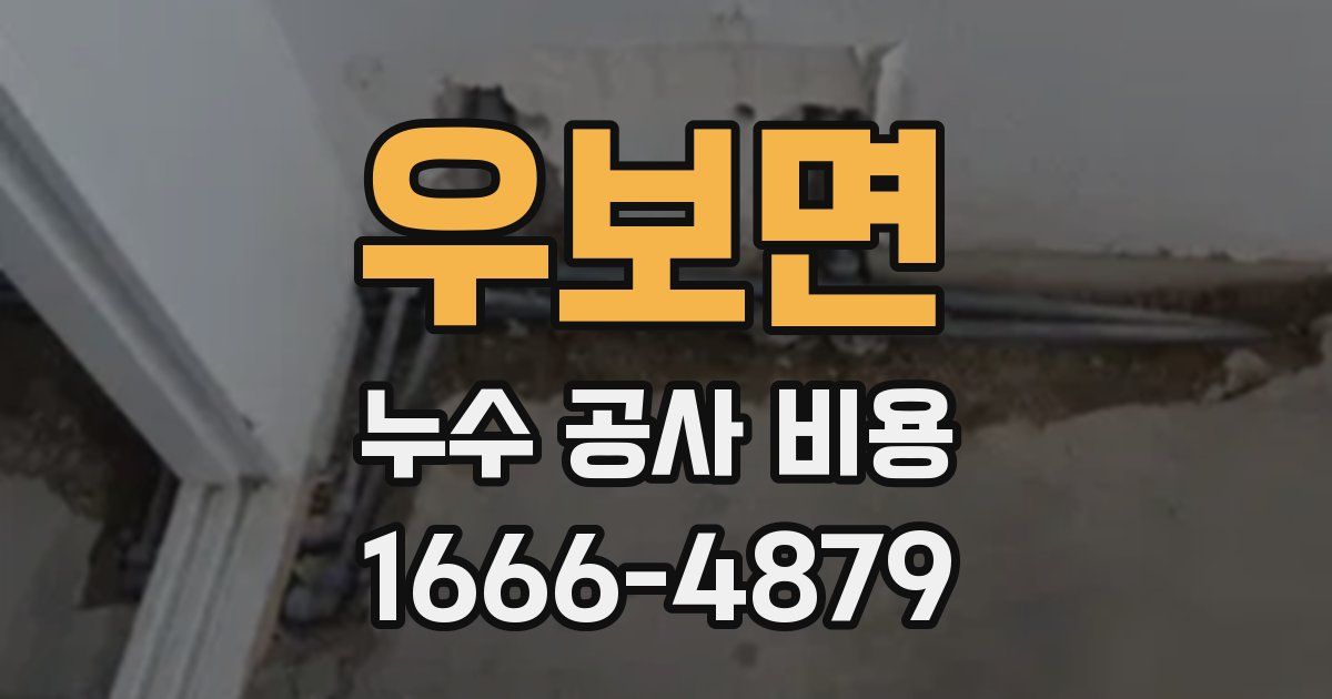 우보면 누수 공사 비용