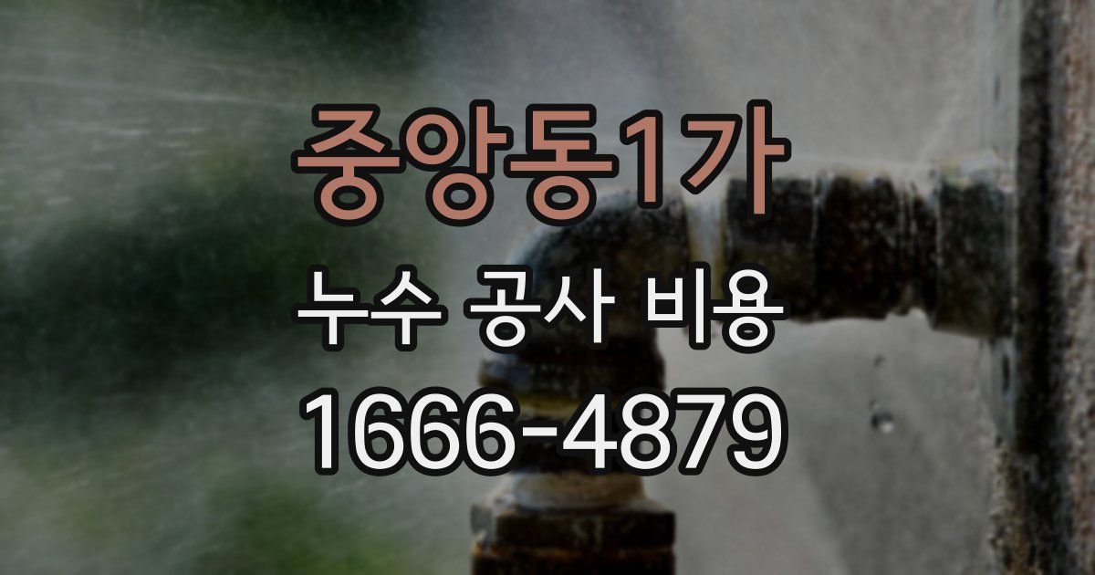 중앙동1가 누수 공사 비용