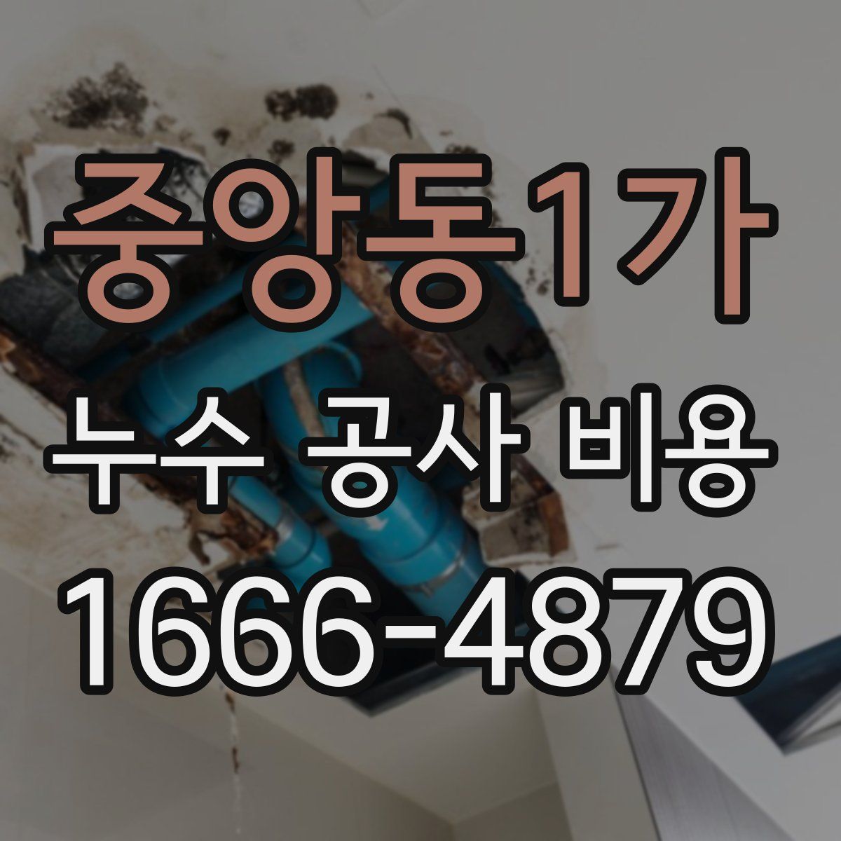 중앙동1가 누수 공사 비용