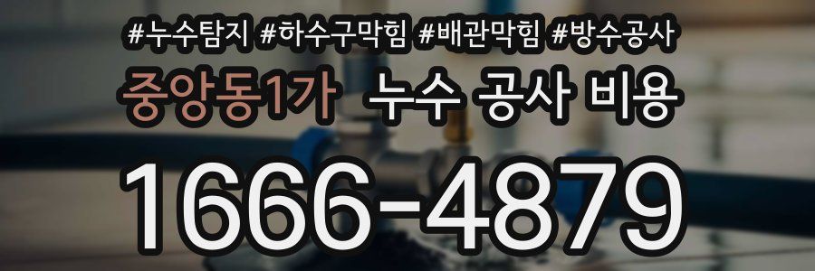 중앙동1가 누수 공사 비용