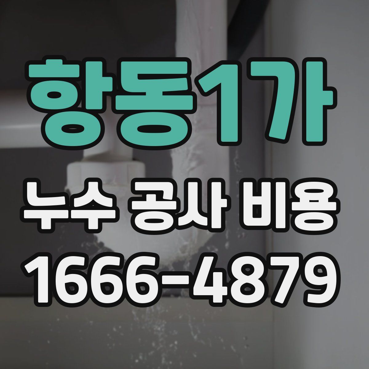 항동1가 누수 공사 비용