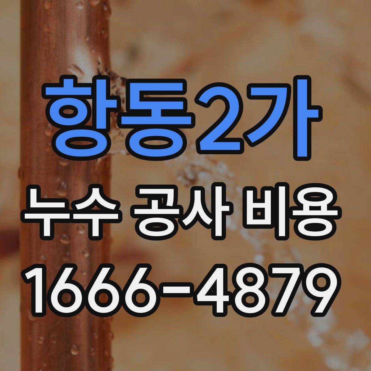 항동2가 누수 공사 비용