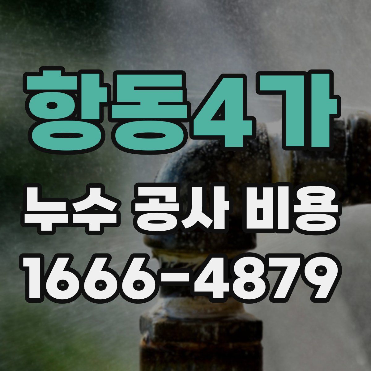 항동4가 누수 공사 비용