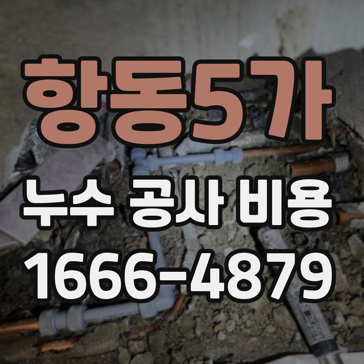 항동5가 누수 공사 비용