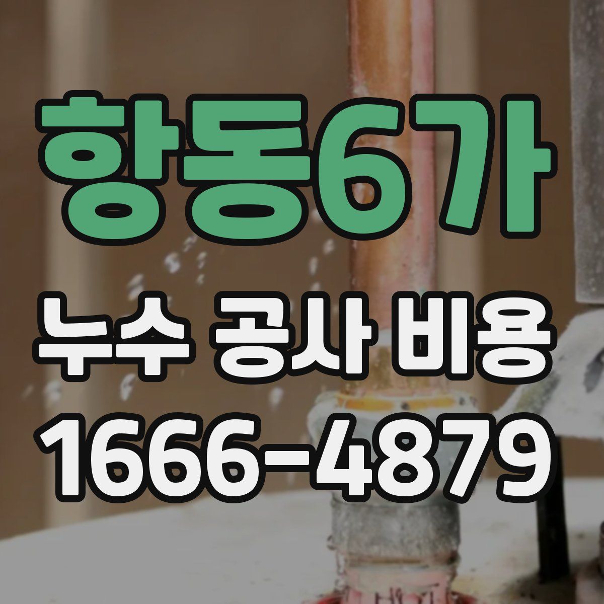 항동6가 누수 공사 비용