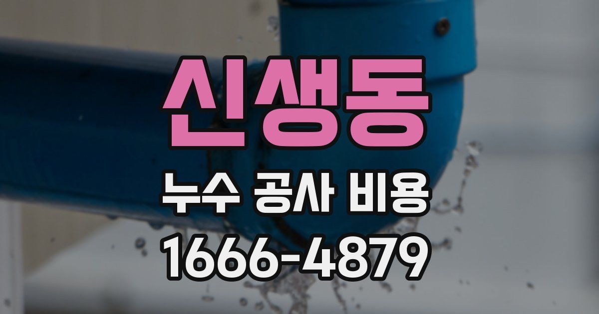 신생동 누수 공사 비용