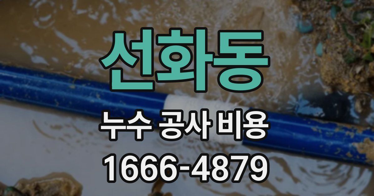 선화동 누수 공사 비용