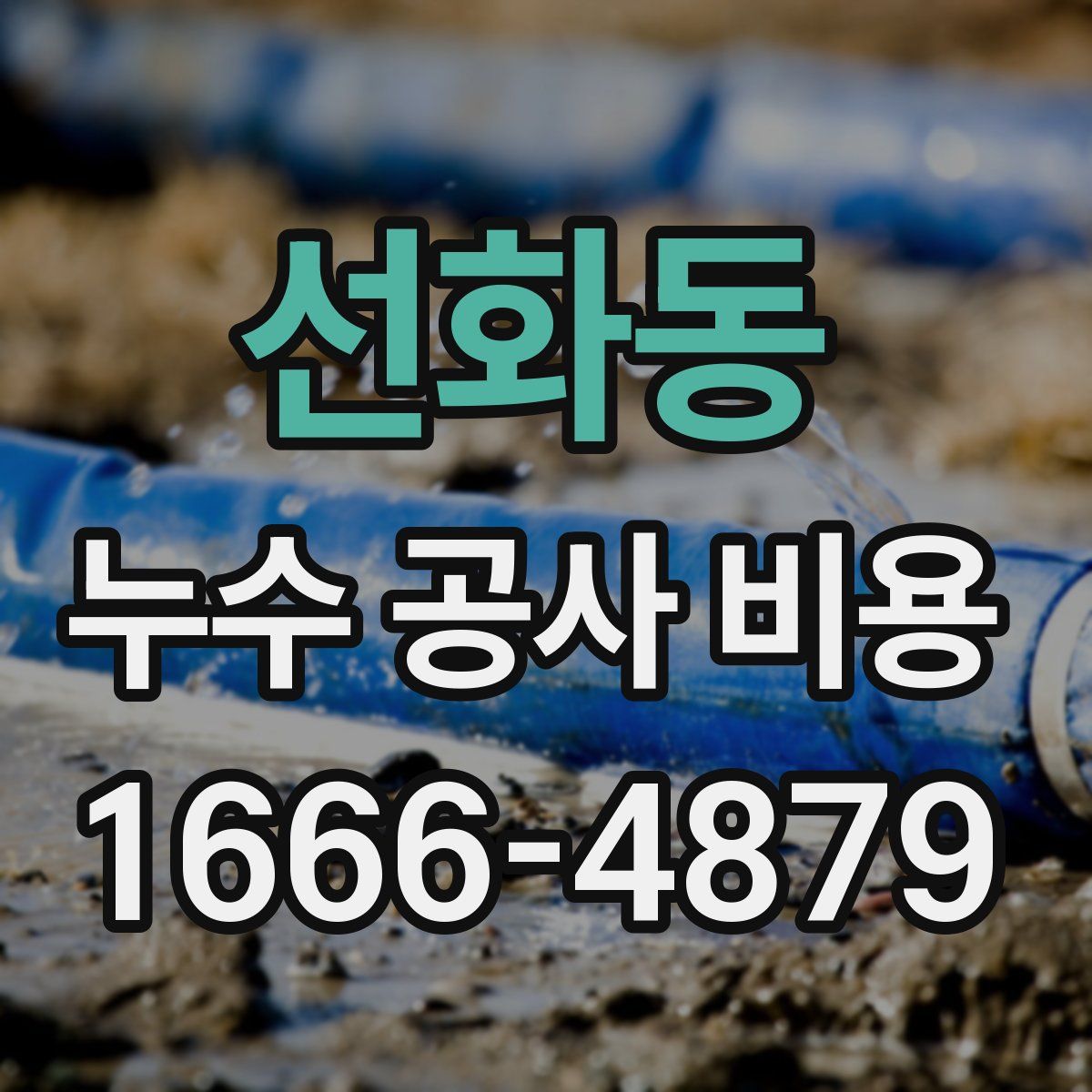 선화동 누수 공사 비용