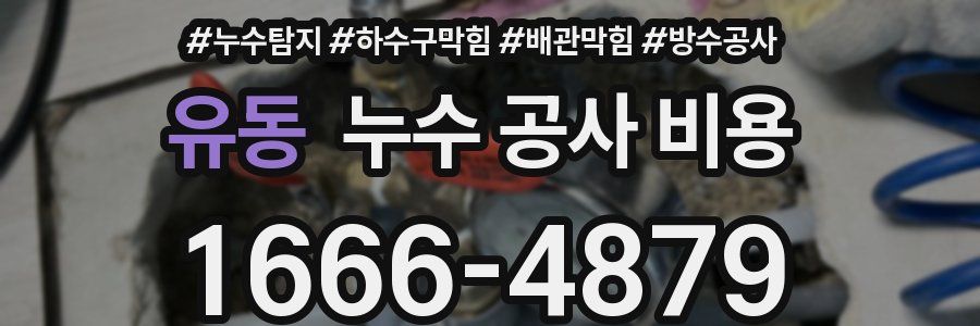 유동 누수 공사 비용