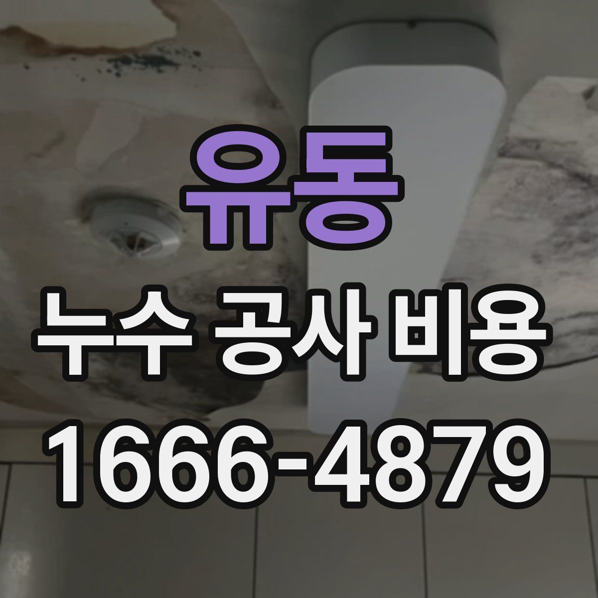 유동 누수 공사 비용