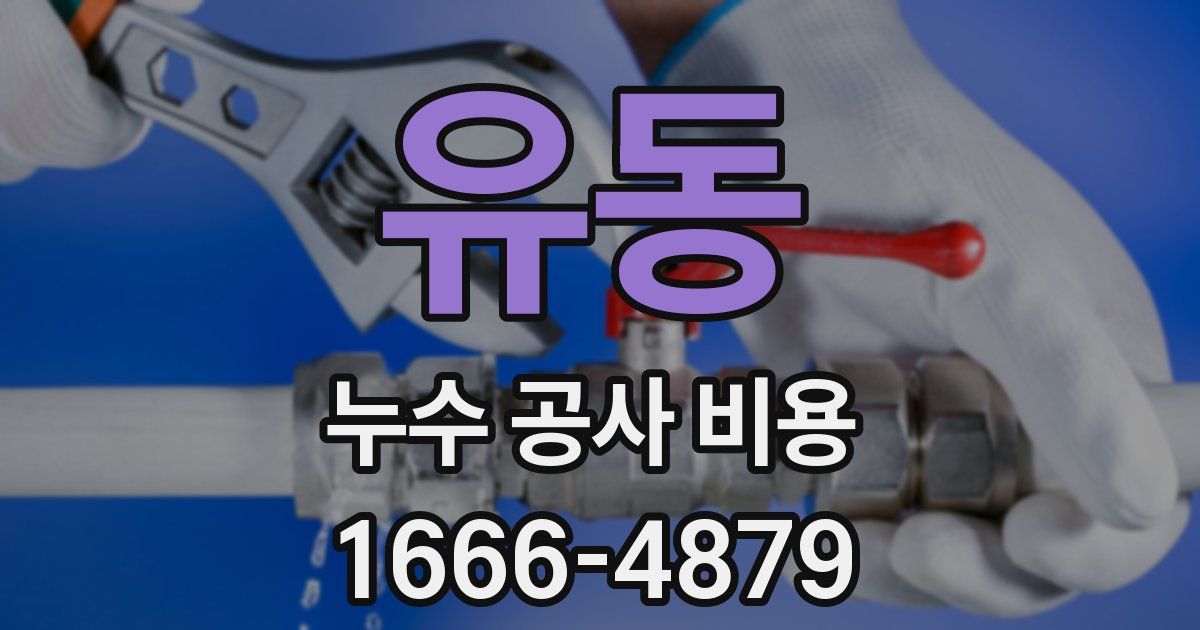 유동 누수 공사 비용